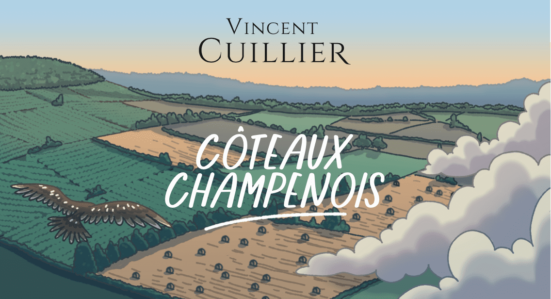 Coteaux Champenois Blanc Vincent Cuillier